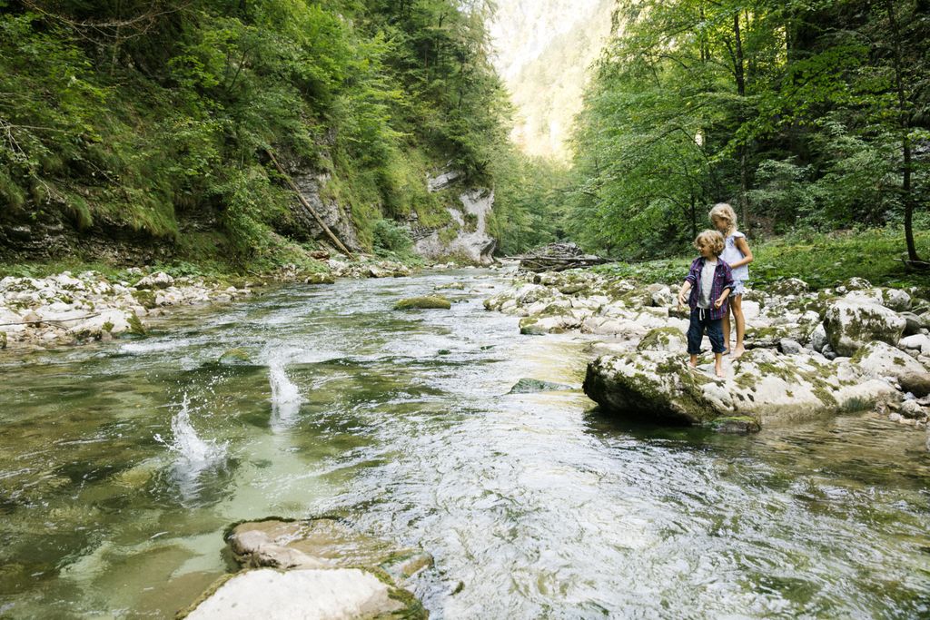 Mehr über den Artikel erfahren Naturpark Wanderbus wird verlängert!